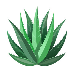 aloe vera leaves isolated icon