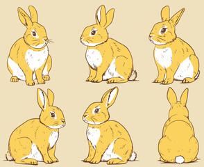 A cute simple rabbit with different angles. Nursery illustration.