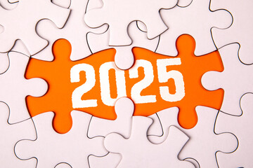 2025 Goals. White puzzle pieces and text on an orange background