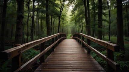 Wooden Bridge in a Lush Forest