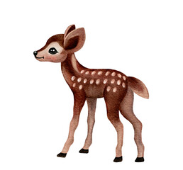 Cute baby deer, Cute watercolor baby deer, isolated illustration for children clothing. Watercolor Hand drawn image