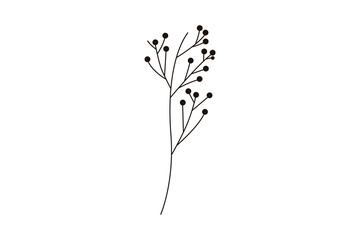 silhouette of a plant