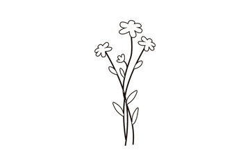illustration of a flower
