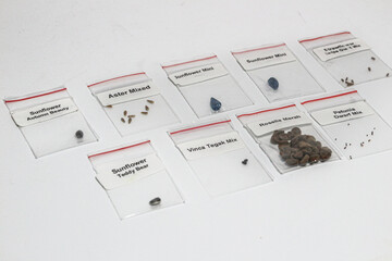 Seeds in a plastic bag on a white background