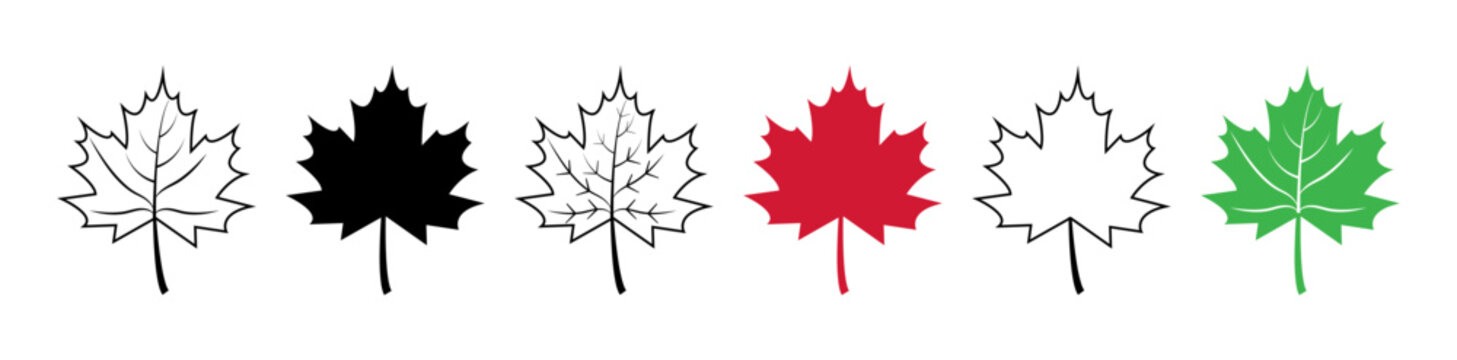 Set of flat maple leaf shape icons isolated on white background vector illustration. Canadian maple leaf icon set. Forest and wood signs symbol.