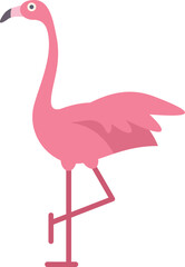 This vector illustration features a pink flamingo standing on one leg, showcasing its vibrant color and elegant posture
