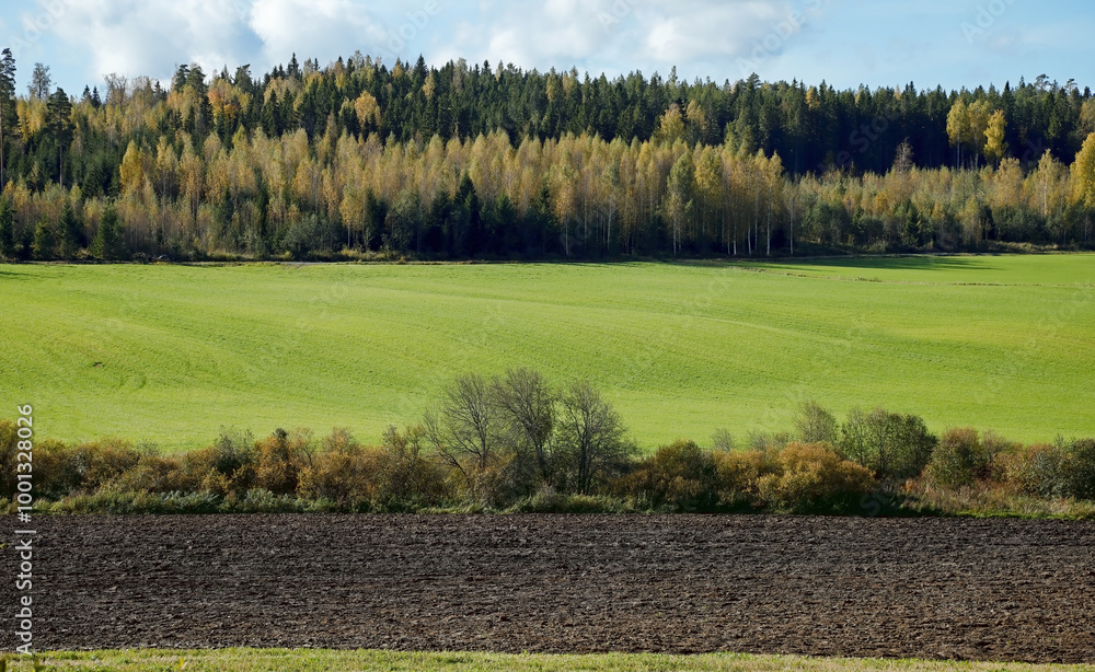 Wall mural rural landscape with blue sky and clouds in finaland