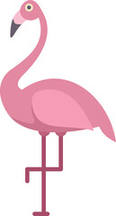 Minimalist vector illustration featuring a pink flamingo standing on one leg, showcasing its vibrant color and elegant posture