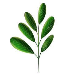 green leaf