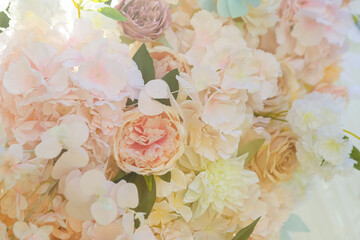 pink rose background