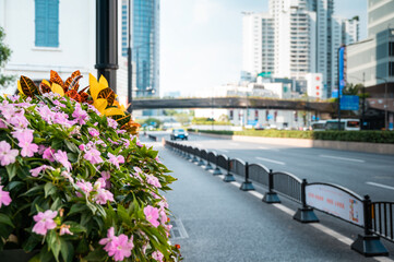 Fototapeta premium Landscape plants along urban roads