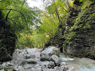 The canyon of the Kozjak stream above its confluence with the Soča river (Kobarid, Slovenia) - Die...