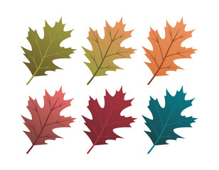 Set of autumn leaves from different color. Simple green, yellow, red, orange fall leaf set for pattern, banner, sticker, and autumn card. Flat vector illustration isolated on white background