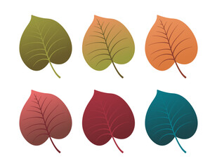 Set of autumn leaves from different color. Simple green, yellow, red, orange fall leaf set for pattern, banner, sticker, and autumn card. Flat vector illustration isolated on white background