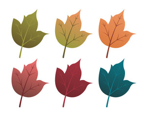 Set of autumn leaves from different color. Simple green, yellow, red, orange fall leaf set for pattern, banner, sticker, and autumn card. Flat vector illustration isolated on white background