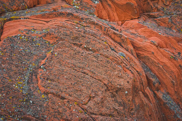 Abstract macro of lichen on curved layers of red sandstone