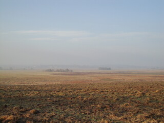 misty morning in the field
