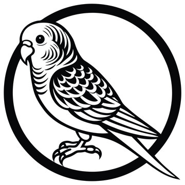 recommend clip art: budgerigar vector logo icon design minimalist template 