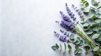 An arrangement of lavender and eucalyptus sprigs placed on a minimalist, light background.