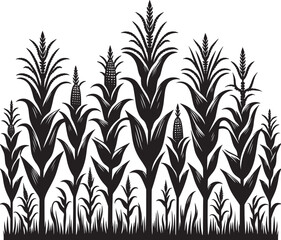 Corn plant silhouette vector illustration isolated on a white background