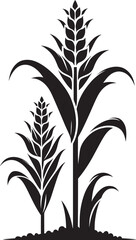 Corn plant silhouette vector illustration isolated on a white background