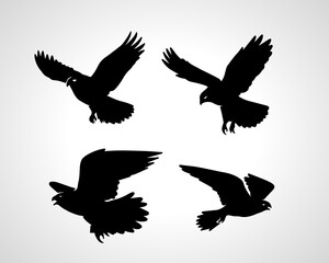 Obraz premium Falcon Silhouette Vectors and Illustrations