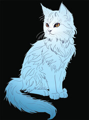 light blue cat isolated on black