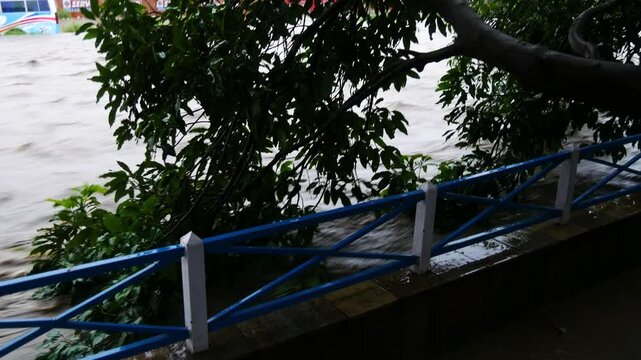 Manohara river overflowing and full with flood water destroying tree branches during continuous rainfall and flooding in Kathmandu Valley on September 28, 2024.