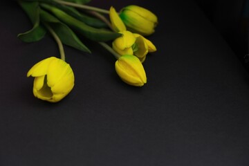 Obraz premium flatlay of decorations concept. Top view photo of a bouquet of daisy on isolated black background with copy space