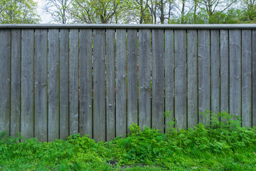 Fototapeta premium A rustic wooden fence with a weathered gray finish stands tall against a backdrop of lush green foliage. The fence is surrounded by a carpet of vibrant grass. Stockholm, Sweden.