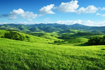 green field and blue sky