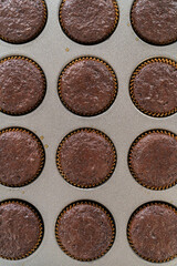 Baking Chocolate Cupcakes with Decadent Chocolate Frosting