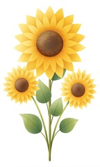 Obraz premium Sunflowers with Grain Effect on White Background 