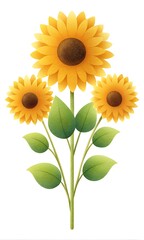 Sunflowers with Grain Effect on White Background
