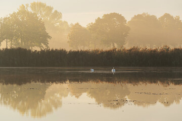 Piękny jesienny wschód słońca nad stawami, Polska, Czechowice Dziedzice  © Elżbieta Kaps