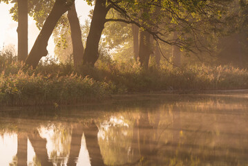 Piękny jesienny wschód słońca nad stawami, Polska, Czechowice Dziedzice  © Elżbieta Kaps