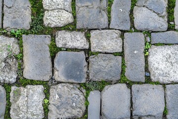 texture of gray pavers, a flat surface with small cracks and moss growing