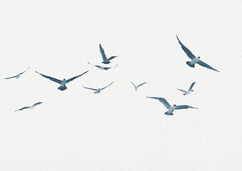 Seagulls in Flight – Minimalist Aerial View of Birds Against a Soft Sky