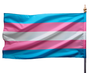 waving transgender flag isolated