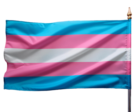 waving transgender flag isolated