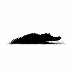Crocodile Silhouette Resting on White Background