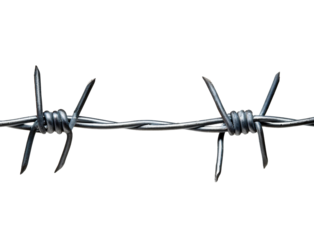 barbed wire close isolated on white. razor wire