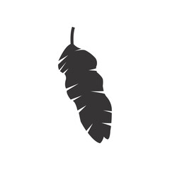 Tropical leaf silhouette. Jungle exotic leaves and botanical plants. Vector illustration.