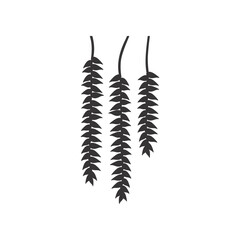 Tropical leaf silhouette. Jungle exotic leaves and botanical plants. Vector illustration.