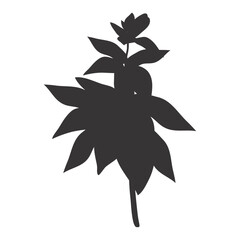 Tropical leaf silhouette. Jungle exotic leaves and botanical plants. Vector illustration.