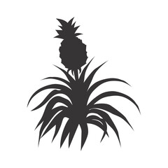 Tropical leaf silhouette. Jungle exotic leaves and botanical plants. Vector illustration.