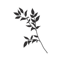 Tropical leaf silhouette. Jungle exotic leaves and botanical plants. Vector illustration.