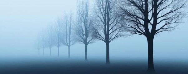 Obraz premium Ambient fog, eerie silhouettes of trees, haunting scene, 3D illustration