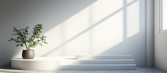 Obraz premium Minimalist Interior Design with Green Plant and White Platform. Minimalist White Podium With Sunlight