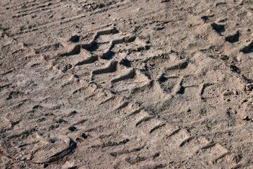 Track marks on loose soil after operating a crawler bulldozer